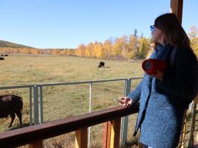 Первый аудиогид по Ленским столбам создала компания МТС