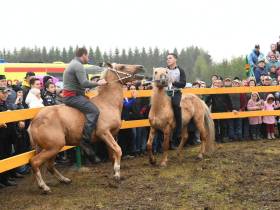 Глава Якутии посетил в Татарстане фестиваль "День коня"