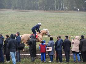 Глава Якутии посетил в Татарстане фестиваль "День коня"