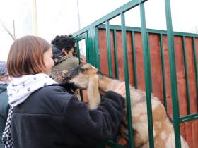 Коровы, козы, страусы: в Якутске прошла выставка племенных хозяйств