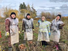В Ленском районе овощеводам убрать урожай помогли сотрудники администрации и учреждений