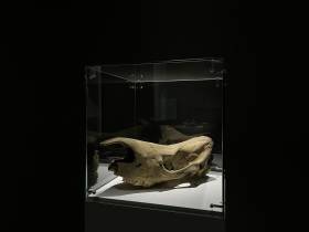 Выставка о системе образования республики открылась в Якутске