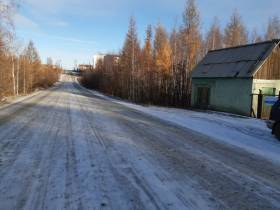 В Якутии водитель сбил женщину с собакой