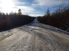 В Якутии водитель сбил женщину с собакой