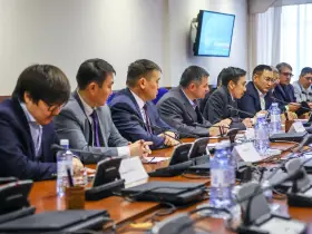 Турецкая компания может стать партнером в реализации проекта по обновлению речного флота Якутии