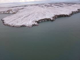 Исследование белых медведей на территории якутского заповедника проведут учёные