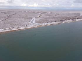 Исследование белых медведей на территории якутского заповедника проведут учёные