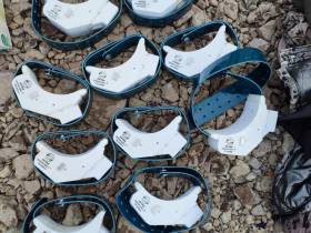 АЛРОСА продолжает оказывать поддержку ученым в мониторинге диких северных оленей