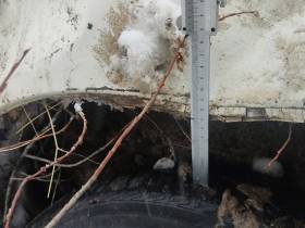 В Якутии в ДТП пострадали две женщины