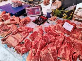 Фоторепортаж: выставка-ярмарка «Рыба Якутии — 2022»