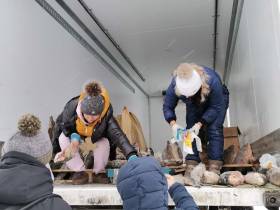 Фоторепортаж: выставка-ярмарка «Рыба Якутии — 2022»