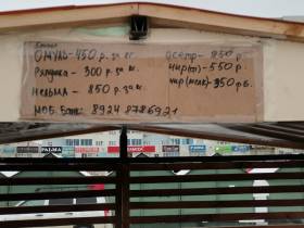 Фоторепортаж: выставка-ярмарка «Рыба Якутии — 2022»