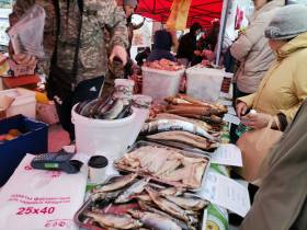 Фоторепортаж: выставка-ярмарка «Рыба Якутии — 2022»