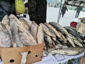 Фоторепортаж: выставка-ярмарка «Рыба Якутии — 2022»