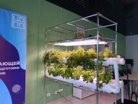 Проект о востребованных профессиях нынешнего времени планируют ввести в Якутии