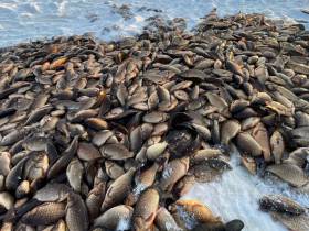 Фотофакт: в Якутии стартовал сезон подледной рыбалки - мунха