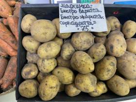 Сколько стоят мясо, рыба и овощи на Крестьянском рынке в Якутске