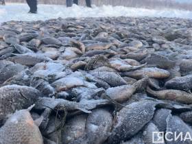 Особенности национальной рыбалки: как проходит мунха в Якутии