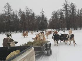 Фермер Иван Попов: «К конкурсу "Агростартап" готовился три года»