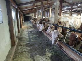 Фермер Иван Попов: «К конкурсу "Агростартап" готовился три года»