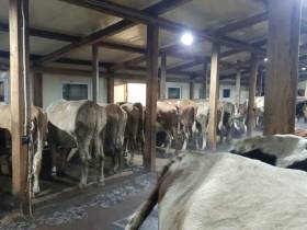 Фермер Иван Попов: «К конкурсу "Агростартап" готовился три года»