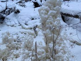 «Обнаружены интересные явления»: учёные исследуют незамерзающий ручей в Якутии