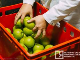 Еда высокого полета: как устроен цех бортового питания в аэропорту Якутска