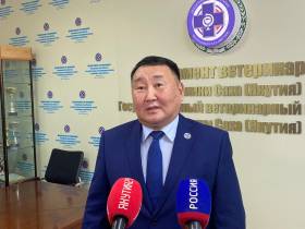 В Якутии у 14 собак подтвердился бруцеллез