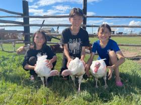 Якутский медиапроект «Из города в село: Фермер» создаёт уникальный образ сельских территорий