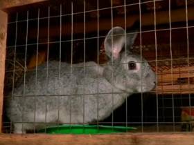 Якутский медиапроект «Из города в село: Фермер» создаёт уникальный образ сельских территорий