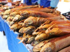 Якутский медиапроект «Из города в село: Фермер» создаёт уникальный образ сельских территорий