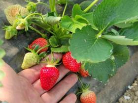 Якутский медиапроект «Из города в село: Фермер» создаёт уникальный образ сельских территорий