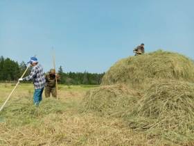 Якутский медиапроект «Из города в село: Фермер» создаёт уникальный образ сельских территорий