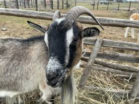 Якутский медиапроект «Из города в село: Фермер» создаёт уникальный образ сельских территорий