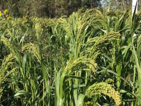 Якутский медиапроект «Из города в село: Фермер» создаёт уникальный образ сельских территорий