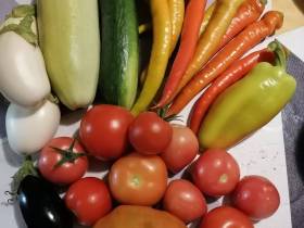 Якутский медиапроект «Из города в село: Фермер» создаёт уникальный образ сельских территорий