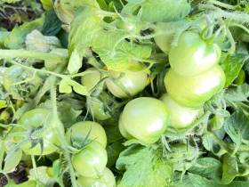 Якутский медиапроект «Из города в село: Фермер» создаёт уникальный образ сельских территорий