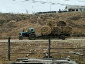 Фермер Акулина Львова: «Поголовье скота не должно уменьшаться»