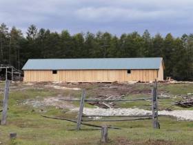 Фермер Акулина Львова: «Поголовье скота не должно уменьшаться»
