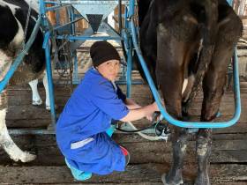 Фермер Акулина Львова: «Поголовье скота не должно уменьшаться»