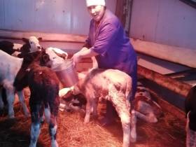 Фермер Акулина Львова: «Поголовье скота не должно уменьшаться»