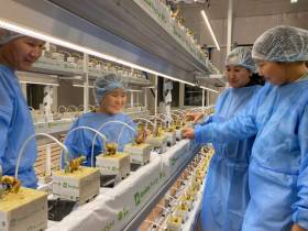 Ирина Петухова: «Ежегодно три выпускника Соттинской школы выбирают агровуз»