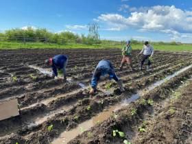 Ирина Петухова: «Ежегодно три выпускника Соттинской школы выбирают агровуз»