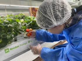 Ирина Петухова: «Ежегодно три выпускника Соттинской школы выбирают агровуз»