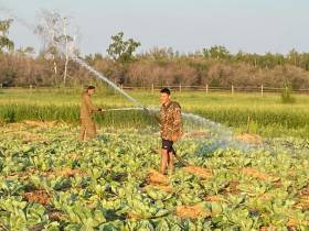 Ирина Петухова: «Ежегодно три выпускника Соттинской школы выбирают агровуз»