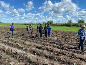 Ирина Петухова: «Ежегодно три выпускника Соттинской школы выбирают агровуз»