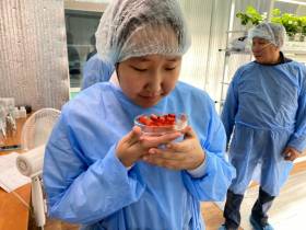 Ирина Петухова: «Ежегодно три выпускника Соттинской школы выбирают агровуз»