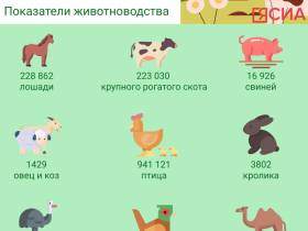 Стало больше лошадей и коров. В Якутии подвели итоги сельскохозяйственной микропереписи