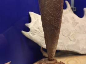 «Сказ на бивне мамонта». Якутские мастера представили работы на фестивале косторезного искусства