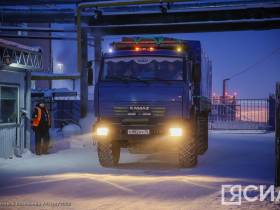 Коров якутской породы привезли для изучения из Эвено-Бытантайского района в Якутск